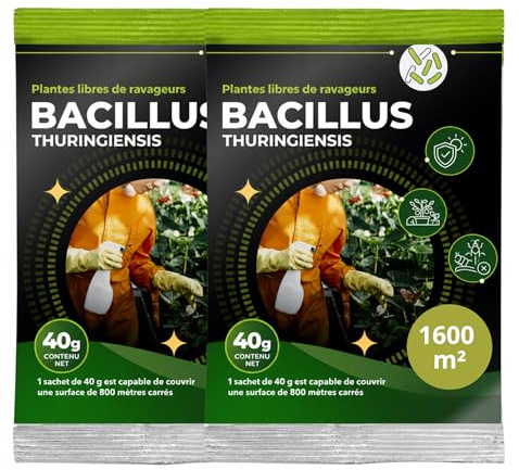 Trabe Bacillus Thuringiensis BTK Lot de 2 paquets de 40 g 1600 m² – Sans chenilles – Buis et chenilles Plantura – Presse du buis sur buis – Respecte les animaux, l'environnement et les humains
