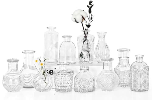 Sawoake Glass Bud Vase Set, Clear, 12 PCS, Vintage Style with Structure Pattern, for Flowers and Home Decoration (Clear, 12 PCS)