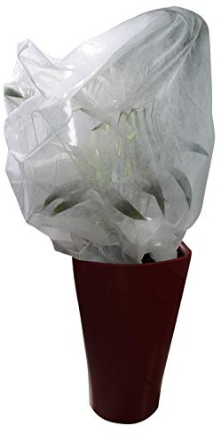 Linxor - Lot de 2 Housses de Protection pour Plantes - 1.60 x 2 m - 30g/m2 - Blanc