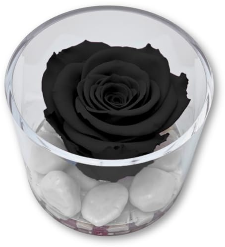 Premium-rose.com Box Tondo con Rosa Nera Stabilizzata e Marmo di Carrara, Idea Regalo Unica e Raffinata, Idea Regalo per lei, Natale, Cubo Rosa Nera, Fatta in Italia (Nera 1097)