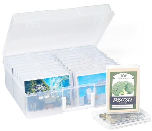 Lifewit Scatola Porta Foto 10x15cm 4R, 20 Scomparti Interna, Scatole Trasparenti per la Conservazione Delle Foto, Organizzatore Foto in Plastica per Semi, Cartoline, Artigianato, Adesivi