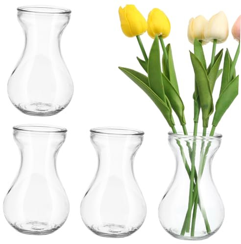 GETAJGHSD 4 Pièces Vase Verre pour Jacinthe Couleur Vase à Fleurs Verre Décoratif pour Maison