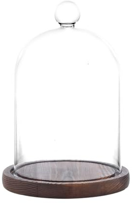 REFSAVER Glaskuppel mit Sockel, Glasglocke, Vitrine mit Holzsockel für Pflanzen, Sammlerstücke (11,9 x 16 cm)