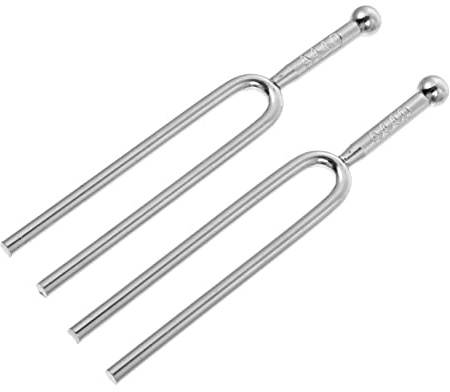 BESTonZON 2stücke Gitarre Zubehör Teiliges Stimmgabeln a Standard Für Präzises Stimmen Silber Langlebig Für Musiker Und Gitarristen Praktische Tonstimmgeräte