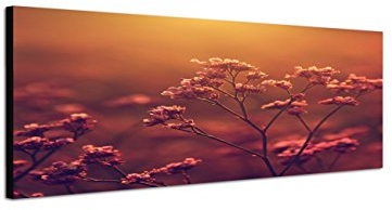 Augenblicke Wandbilder Keilrahmenbild Wandbild 150x50cm Blumen Blüten Sonnenuntergang Vintage