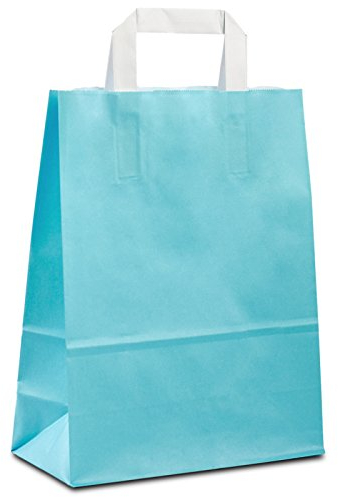 Papiertüten hellblau mit Flach-Henkel I 50 Stk. 22+10x28cm I Papiertragetasche für Einzelhandel, Weihnachten, Mitbringsel, TO-GO I Geschenktüten aus Kraftpapier I HUTNER