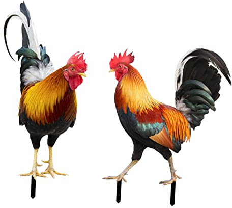 Cabilock Gartenpflock mit Hahnmotiv 2 Stück Acryl für Rasen und Garten | Spiegeleffekt, Realistische Form, Modern und Rustikal, für Hof, Außenbereich, Dekoration und Fotorequisit