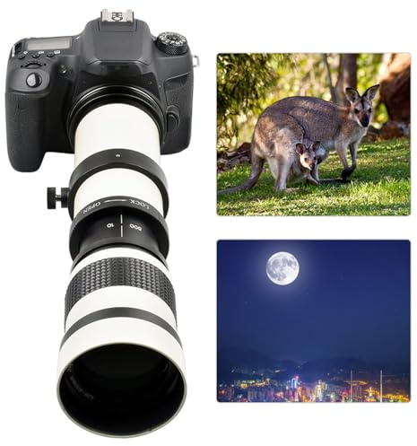 Appareils photo numériques et accessoires Blanc 420 800 mm Ouverture F 8.316 Téléobjectif complet pour monture EFS Objectif 28 x 9 x 9 cm et accessoires