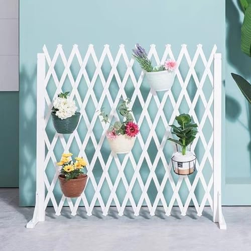 Clôture en treillis extensible en bois réglable pour jardin - Panneau de treillis rétractable pour plantes grimpantes - Design autonome - Blanc - 210 x 100 cm