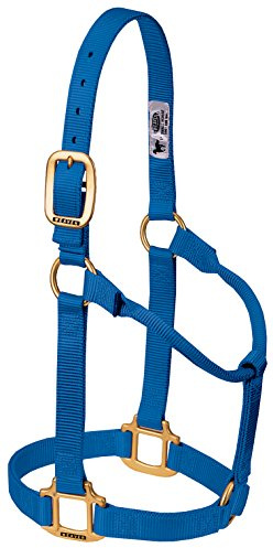 Weaver Leather Original Pferdehalfter, Nylon, Nicht verstellbar, klein, Blau