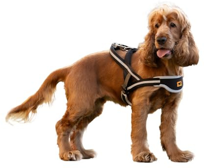 Ferplast Pettorina Cane Taglia Media ERGOCOMFORT NORDIC, Pettorina Cane Imbottita, Riflettente, Facile da Indossare e da Regolare, Rilascio Rapido, SMALL, Torace 59-67 cm.