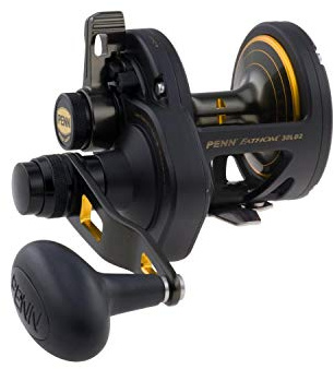 Penn Fathom FTH30LD2 1292933 Fathom 30 Hebel 2-Gang Hebel Drag Angelrolle Schwarz Gold
