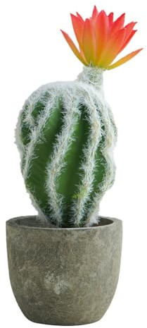 Airbirhom Cactus Artificial Plants,Artificial Cactus Potted,Small Faux Cactus Plants Indoor Decor for Home,Office,Kitchen,Living Room,Desk,Shelf（Orange Flower）