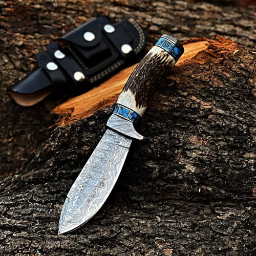 CHOOSE Cuchillo de cuero de caza de acero de Damasco hecho a mano, mango de ciervo con heath, longitud total: 10 , longitud de la hoja: 5 , espiga completa, cuchillo de arbusto de hoja fija |DSS010
