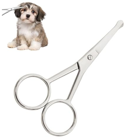 Forbici per cani, forbici per peli di cane, forbici in acciaio inox, forbici di sicurezza, forbici arrotondate per cani, forbici per animali domestici, forbici per peli di cane per una perfetta cura