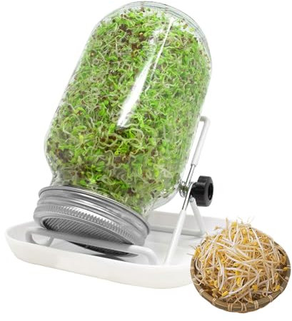 750ml Keimgläser Set für Sprossen – Inklusive Filterdeckel aus Edelstahl, Verstellbarer Halterung und Abtropfschale – Keimglas für die Zucht von Sprossen und Bio-Gemüse wie Erbsen, Blumenkohl