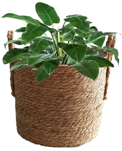 Pot de fleurs en jonc de mer tissé pour intérieur | Pot de fleurs décoratif étanche pour feuilles de violon, figuier, plante serpent, fleurs