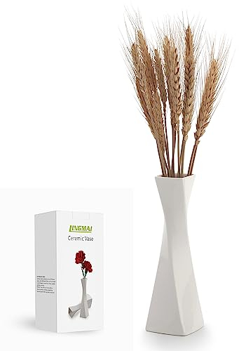 Vasi Bianchi in Ceramica per Decorazione Casa - Set di Vasi Rustici Decorativi (1 Pezzo)