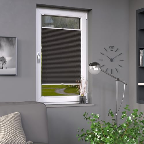 Deco-Raum Plissee auf Maß Dunkelgrau Fenster Plisseerollo Faltstore Jalousie Sonnenschutz Sichtschutz lichtdurchlässig Rollo für Fenster & Tür B:51-60 cm, H: 40-100 cm