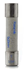 10er Päckchen Keramik Sicherungen 3,15A träge 5x20mm