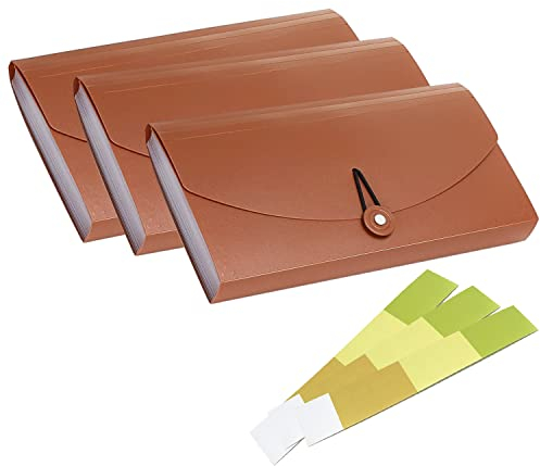 3 Stück 13 Taschen Scheck-Rechnungsordner, erweiterbarer Coupon-Währungs-Organizer mit Etikett, kleiner Akkordeon-Ordner, Karten-Ticket-Halter, Kunststoff-Business-Dokumenten-Organizer