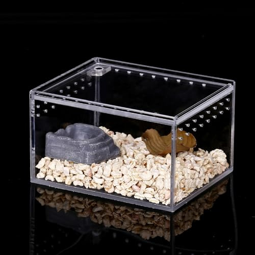 Jhxhhthongtong Caja de Alimentación de Insectos, Recipiente de Vidrio Acrílico Caja Alimentación Reptiles para Terrario,Araña,Escorpión,Rana,Lagarto (10x8.5x6cm)