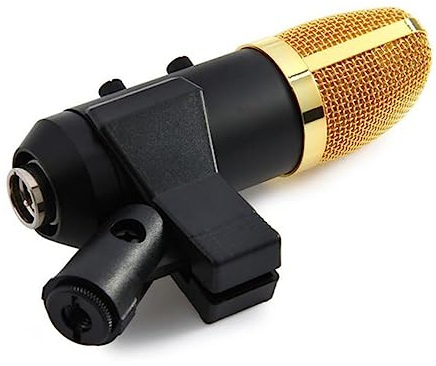 TOYANDONA Ftl USB Kondensator Mikrofon Mit Integriertem Reverb-chip Verstellbarem Ständer Surround-Sound Für Heimstudio Und Schwarz
