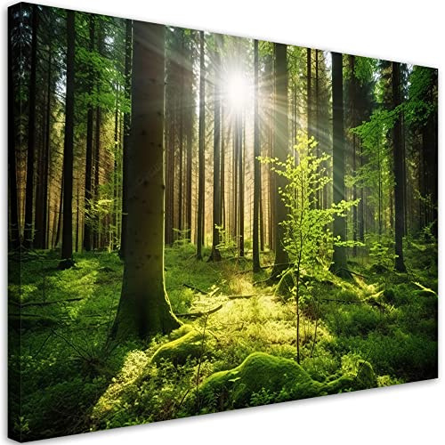 Feeby Bild Auf Leinwand Wald Sonne 60x40 cm 1 tlg Modern Leinwandbilder Bild auf Leinwand Kunstdruck Wand Bild Wanddeko Design Schlafzimmer Büro Flur Hotel Spa Wohnzimmer Natur Bäume Grün