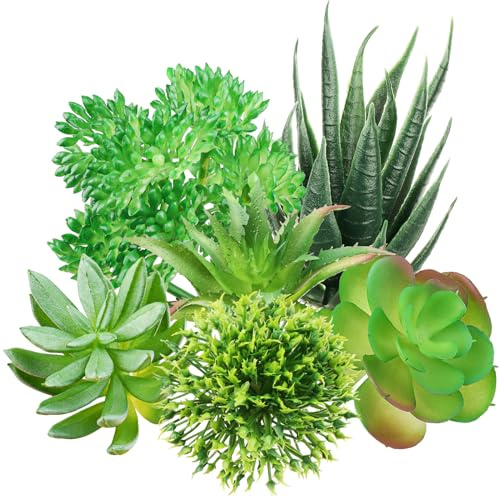 QUOZUO Grüne Sukkulenten, 6 Stück Mini-Sukkulenten für Heimwerker, Basteln, Zuhause, Blumen, Wand, Büro, Dekoration (ohne Töpfe)