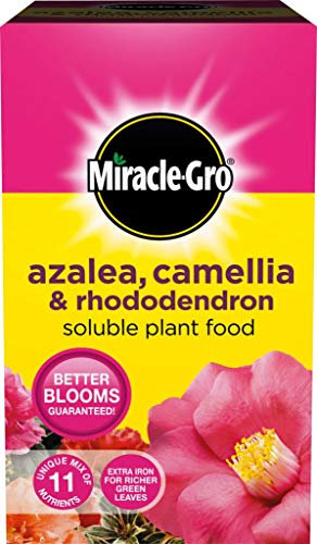 Miracle Gro Azalea, Camellia & Rhododendron Soluble Plant Food 500g Carton (551563)