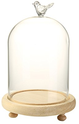 Glass Cloche Bell Jar Display Dome with Wood Base,URMAGIC Clear Glass Dome Cloche with Bird Handle and Wooden Base, 14 x 19cm Decorative Centerpiece Dome,Tabletop Display Case