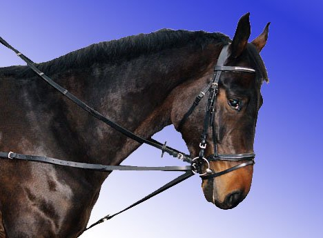 jw reitsport Dreieckszügel Pony