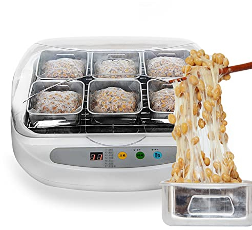 UGCER Fermentador de Natto eléctrico automático - Vasos de Acero Inoxidable versátiles de 3,5 l para Yogur, tempeh, Verduras en escabeche
