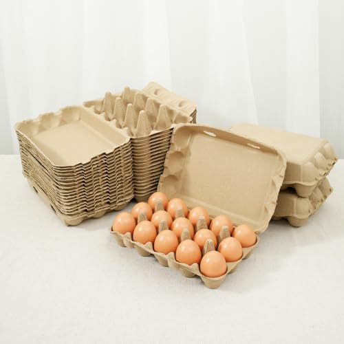 Empty Egg Cartons Paper Pulp Blank Egg Carrier with Lid 3x5 Count Chicken Egg Tray Reusable Cardboard Egg Packing Boxes for Home Kitchen Farm Eggs Storage(20pack)