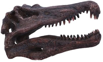 Nemesis Now Spinosaurus Skull 16cm | Original Nemesis Now Design, Hand-Painted Resin Gothic Fantasy Figurine, Collectible Decor