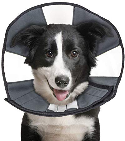 ZenPet ProCone Pet E-Collar for Dogs and Cats - Comfortable Soft Recovery Collar is Adjustable for a Secure and Custom Fit - Easy for Pets to Eat and Drink - Works with Your Pet's Collar - Large