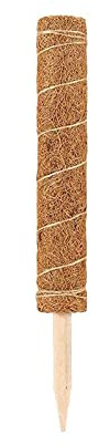 Tongyundacheng 30-60 cm Kokos-Moos-Stab verlängerter Kokos-Moos-Totem-Stange, Kokosfaser-Unterstützungspfahl, Pflanzenunterstützung, Totem-Stange für Pflanzenunterstützung (60 cm, 1 Packung)