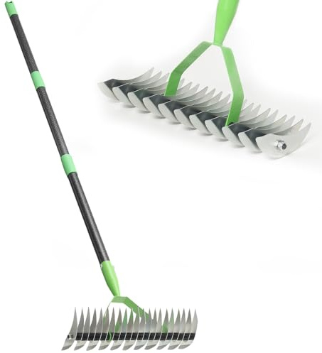 Thatch Rake for Lawns, Dead Grass Dethatcher Rake Removal Tool Heavy Duty Long Handle 54 inch, 13 inch Wide 11 Tines Manual Lawn Thatcher for Loosening Soil in Yard Garden