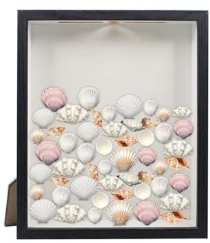 Bilderrahmen Shadow Box Vitrinenrahmen mit Schlitz Oben Holzvitrine für Tickets, Muscheln, Briefmarken Objektrahmen Muscheln Fotorahmen Memorabilia Geschenk 21,7x26,7 cm