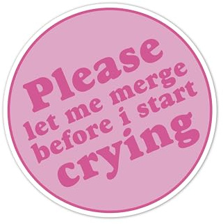 THATS IT – Please Let me Merge Stickers – Vinyl Bumper Sticker for Car, Van, and SUV – Waterproof Decal for Waterbottle and Laptop – Indoor and Outdoor Use for MacBook – Removable Cup Decal – TI -304