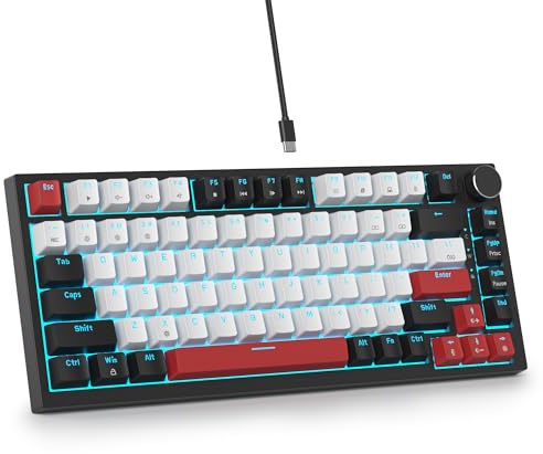 SbocKeeb V400 Teclado Mecanico 75% Gasket Mouted, Personalizado Intercambiable En Caliente 75% TKL Cableado Mecánico RGB Teclado con Almohadillas Que Absorben El Sonido, Americano QWERTY Programable