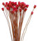 Bouquet secco Decorazione di fiori secchi naturali in vaso floreale 50 steli rossi, bouquet DAISY secco