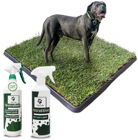 Pack 4 - XL - PetZolla: Prato Vero con Vassoio 100X90 cm, Spray Neutralizzatore e Attrattivo – Cuccia per cane. Lettiera Naturale per Cani. Alternativa Ecologica a Traversine e Tappetini per Pipì
