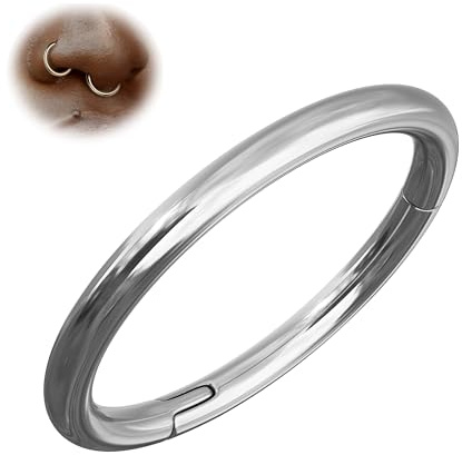 G23 Titan 16/18/20G Nasenring Nasenpiercing Septum Conch Helix Piercing | Silber 14K Vergoldete Nahtloses Körperpiercing Schmuck für Damen Herren, Tragus Lippe Rook, Innendurchmesser 6/7/8/9/10mm