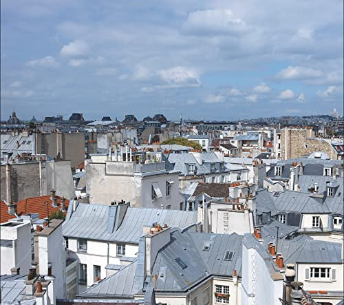 Papier Peint Panoramique 250 cm X 270 cm - Photo des toits et Monuments de Paris - Décoration Murale Unique