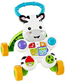 Fisher Price Everything Baby Playset, Mehrfarbig, DLD80