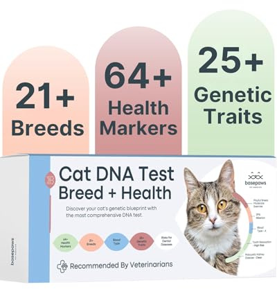 Basepaws Cat DNA Test Kit - Comprehensive Breed, Health and Dental Analysis Across 114 Traits for Accurate and Easy-to-Use Genetic Insights