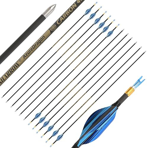 SHARROW Flèches de Tir à l'arc en Carbone 31 Flèches de Compétition en Plumes Spiralées Spine 700-1000 ID 4.2 mm pour Arc Recourbé, Arc à Poulies