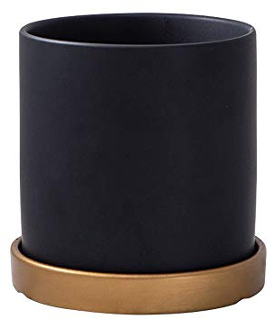 Keramik-Blumentopf im modernen Stil, matt, nordischer Sukkulententopf, Keramik-Blumentopf, Kaktus, Pflanzgefäß, Heimdekoration, Behälter, Schreibtisch, Mini-Ornament (Color : Black, Size : 12 * 12c