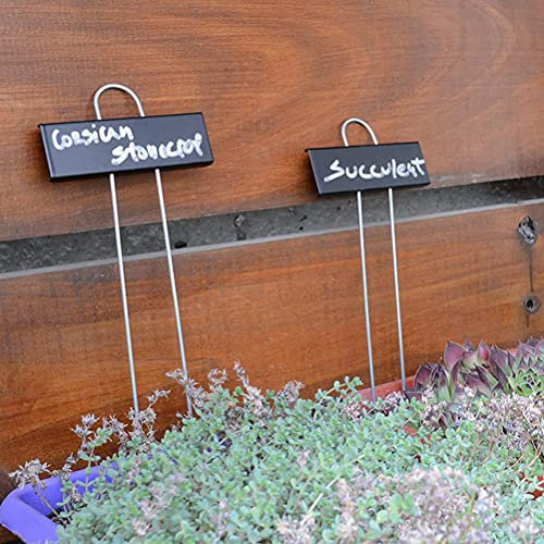 Wetterfeste Metall-Pflanzenschilder mit Abgewinkeltem Design, 12 Stück Feste und Stabile Gartenmarkierungen für Gemüse, Kräuter und Blumen Im Gewächshaus